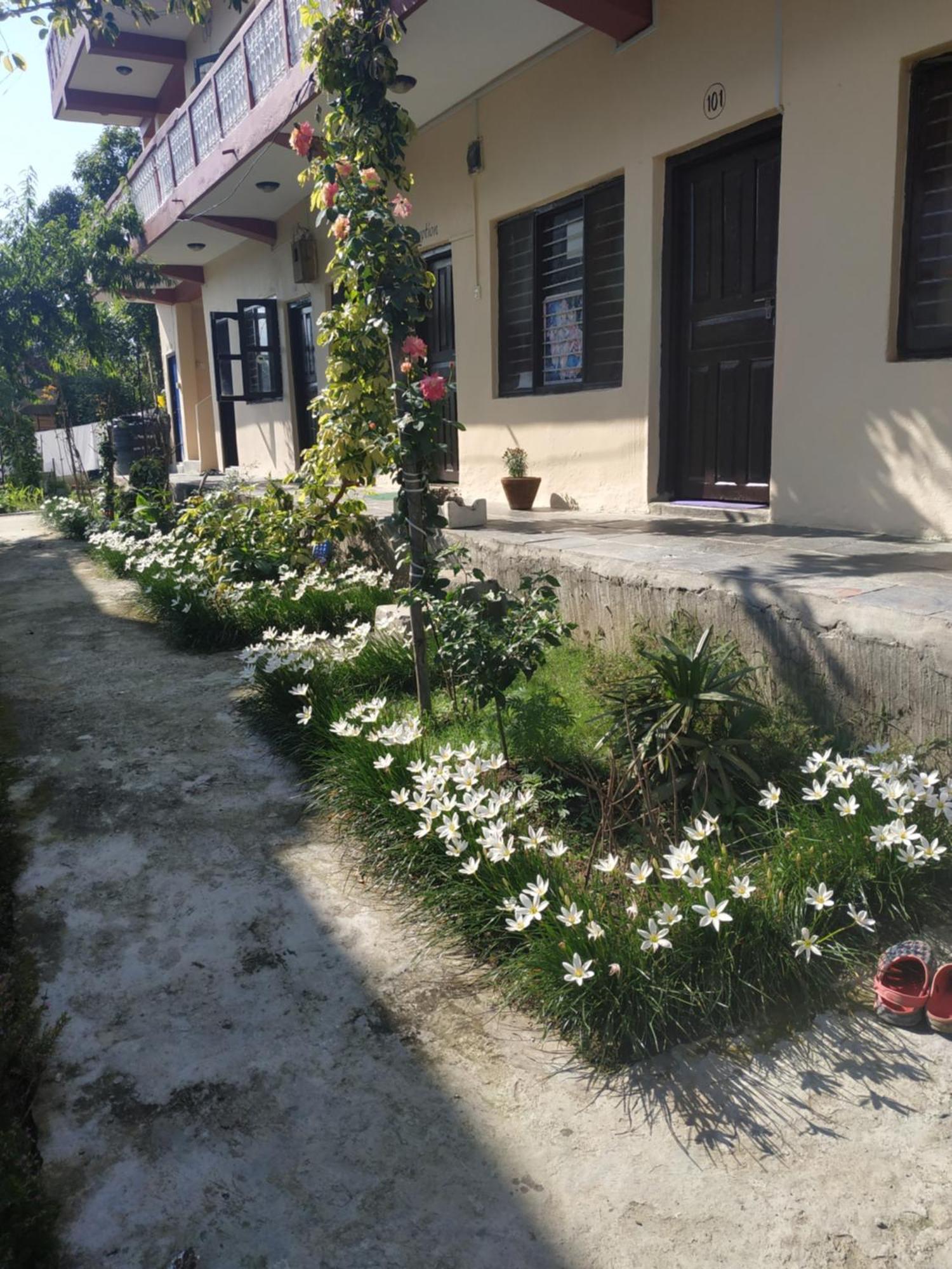 Peace Guest House Pokhara Buitenkant foto