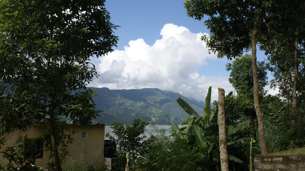 Peace Guest House Pokhara Buitenkant foto