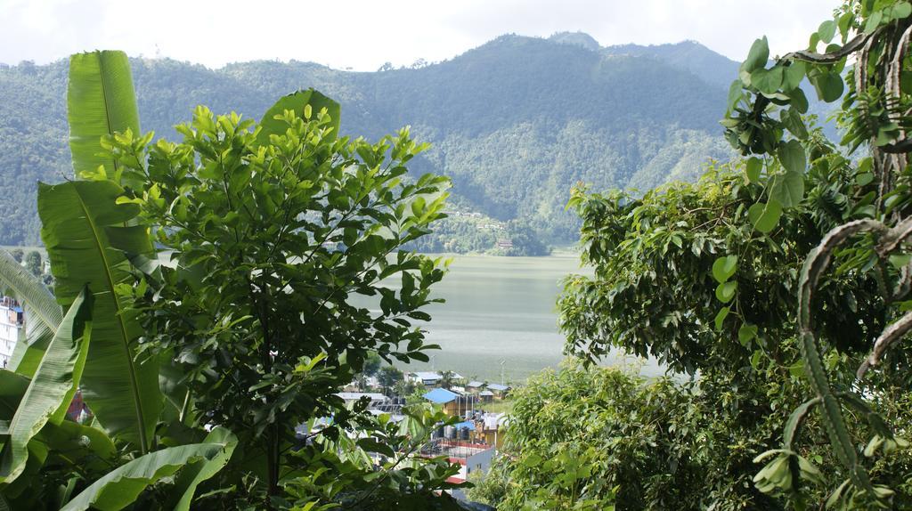 Peace Guest House Pokhara Buitenkant foto