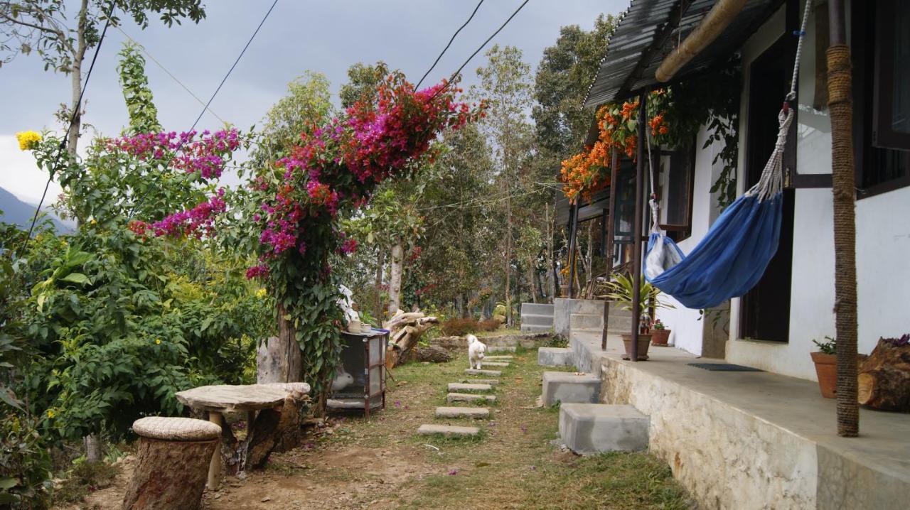 Peace Guest House Pokhara Kamer foto